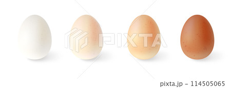 Set of realistic chicken eggs. Vector illustration isolated on white background Set of realistic chicken eggs. Vector illustration isolated on white background 114505065