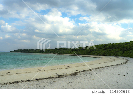 沖縄県竹富島まぶしい砂浜、青い空、透き通る緑の海 沖縄県竹富島まぶしい砂浜、青い空、透き通る緑の海 114505618