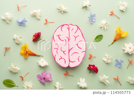 Flat layout of human brain anatomy with colorful fresh flower on green background. Mental health care, positive thinking and creative idea concept. 114505773
