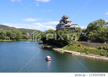 令和の大改修後の岡山城 114505904