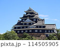 令和の大改修後の岡山城 114505905