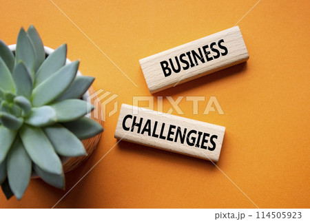 Business challenges symbol. Concept word Business challenges on wooden blocks. Beautiful orange background with succulent plant. Business and Business challenges concept. Copy space 114505923