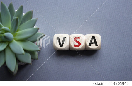 VSA - Volume Spread Analysis symbol. Wooden cubes with word VSA. Beautiful grey background with succulent plant. Business and Volume Spread Analysis concept. Copy space. VSA - Volume Spread Analysis symbol. Wooden cubes with word VSA. Beautiful grey background with succulent plant. Business and Volume Spread Analysis concept. Copy space. 114505940