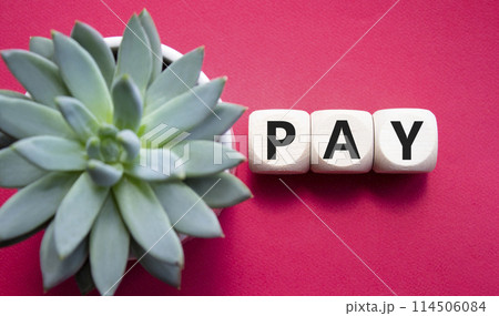 Pay symbol. Wooden cubes with words Pay. Beautiful red background with succulent plant. Business and Pay concept. Copy space. 114506084