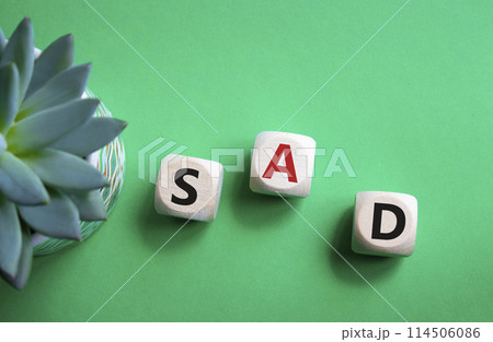 Sad symbol. Wooden cubes with words Sad. Beautiful green background with succulent plant. Business and Sad concept. Copy space. 114506086