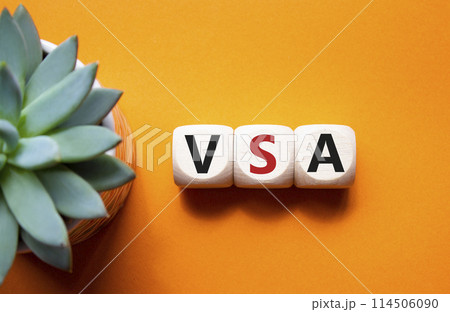 VSA - Volume Spread Analysis symbol. Wooden cubes with word VSA. Beautiful orange background with succulent plant. Business and Volume Spread Analysis concept. Copy space. 114506090