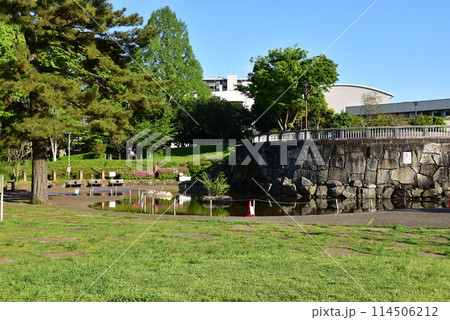 相模原市南区 相模大野中央公園の水の広場と新緑 相模原市南区 相模大野中央公園の水の広場と新緑 114506212