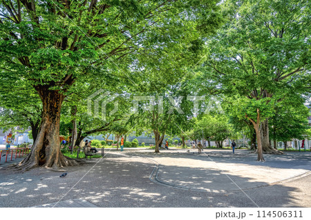 東京都豊島区の都市風景 豊島区立椎名町公園 東京都豊島区の都市風景 豊島区立椎名町公園 114506311