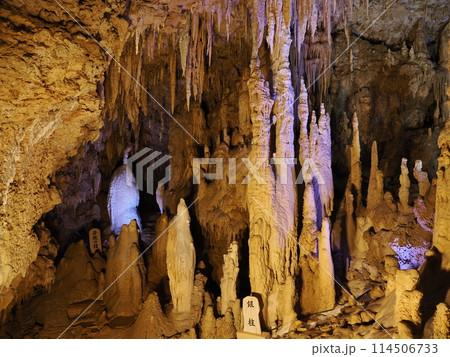 おきなわワールド　玉泉洞 114506733