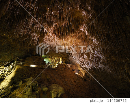 おきなわワールド　玉泉洞 114506755