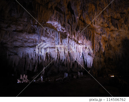 おきなわワールド　玉泉洞 114506762