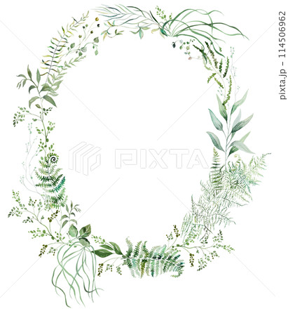 Oval frame with Watercolor fragile stems and tiny green leaves isolated illustration, botanical wedding 114506962