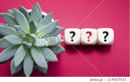 Question marks symbol. Concept words question mark on wooden cube. Beautiful red background with succulent plant. Business and question mark. Copy space. Question marks symbol. Concept words question mark on wooden cube. Beautiful red background with succulent plant. Business and question mark. Copy space. 114507031