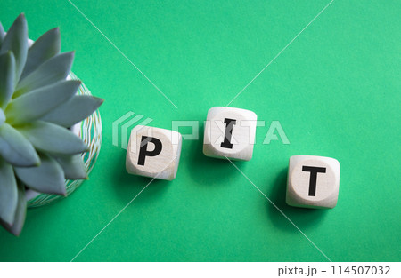 PIT - Personal Income Tax symbol. Wooden cubes with words PIT. Beautiful green background with succulent plant. Business and PIT concept. Copy space. 114507032