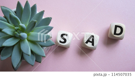 Sad symbol. Wooden cubes with words Sad. Beautiful pink background with succulent plant. Business and Sad concept. Copy space. Sad symbol. Wooden cubes with words Sad. Beautiful pink background with succulent plant. Business and Sad concept. Copy space. 114507035