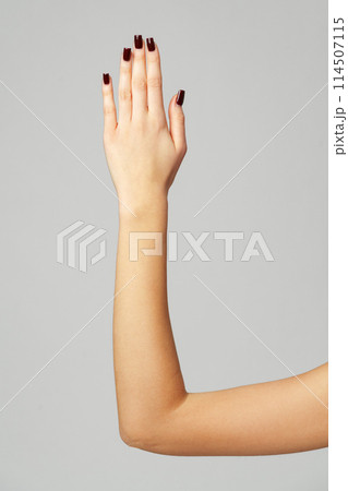 Female hand palm sign on gray background 114507115