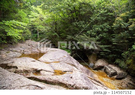 乳岩峡　巨大な岩の上を歩く(愛知県新城市） 114507152