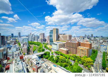 東京　新緑と流れる雲 御茶ノ水　2024 114507191