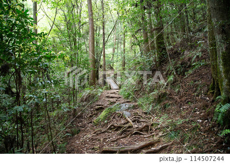 乳岩峡　登山道　(愛知県新城市） 114507244