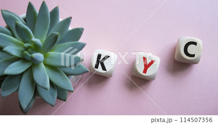 KYC - Know Your Customer. Wooden cubes with word KYC. Beautiful pink background with succulent plant. Business and Know Your Customer concept. Copy space. 114507356