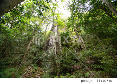 乳岩峡　乳岩山(愛知県新城市） 114507401