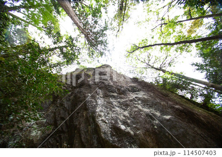乳岩峡　乳岩山(愛知県新城市） 114507403