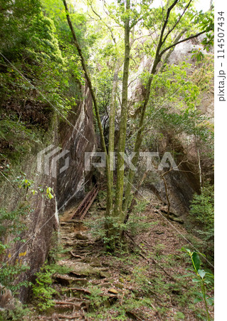 乳岩峡（愛知県新城市）　登山道に設置された鉄のハシゴ（階段） 114507434