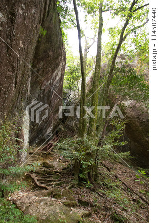 乳岩峡（愛知県新城市）　登山道に設置された鉄のハシゴ（階段） 114507440