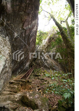 乳岩峡（愛知県新城市）　登山道に設置された鉄のハシゴ（階段） 114507444