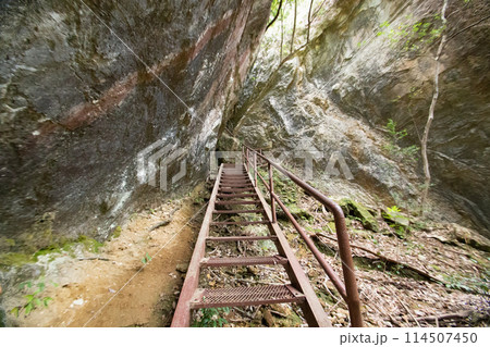 乳岩峡（愛知県新城市）　登山道に設置された鉄のハシゴ（階段） 114507450