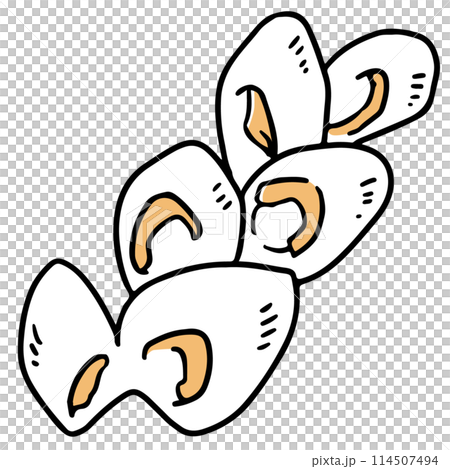 培根 Epi 單色 114507494