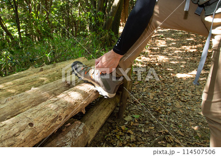 トレッキング　ハイキング　登山　イメージ 114507506