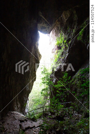 乳岩峡 通天洞 (愛知県新城市) 乳岩峡 通天洞 (愛知県新城市) 114507524