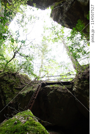 乳岩峡　通天洞　　(愛知県新城市） 114507527