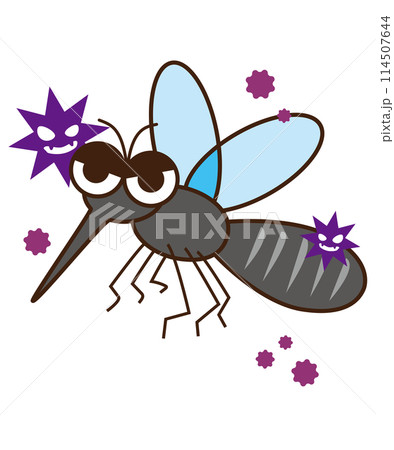 蚊媒介感染症な蚊のイラスト 114507644