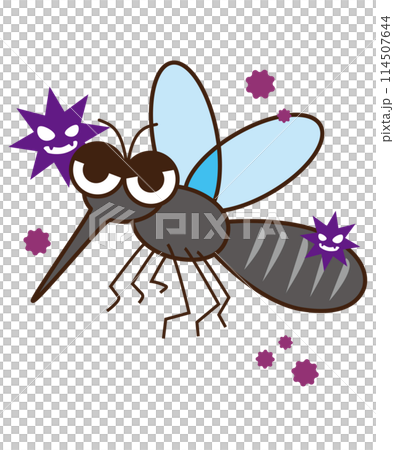蚊媒介感染症な蚊のイラスト 114507644