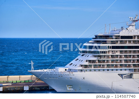 豪華客船が停泊するダイヤモンドプリンセス 114507740