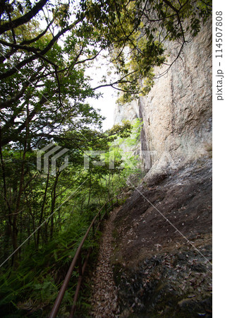 乳岩峡　登山道の風景(愛知県新城市） 114507808