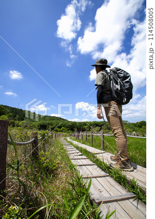 葦毛湿原(愛知県豊橋市) 葦毛湿原(愛知県豊橋市) 114508005