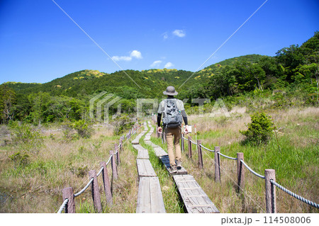 葦毛湿原（愛知県豊橋市） 114508006
