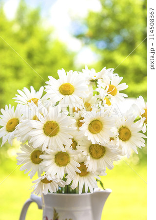 Happy mothers day gretting card; Bouquet of white daisies on a green natural background Happy mothers day gretting card; Bouquet of white daisies on a green natural background 114508367