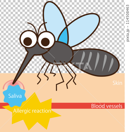 癢！夏季煩惱昆蟲叮咬「蚊子」插畫 114508463