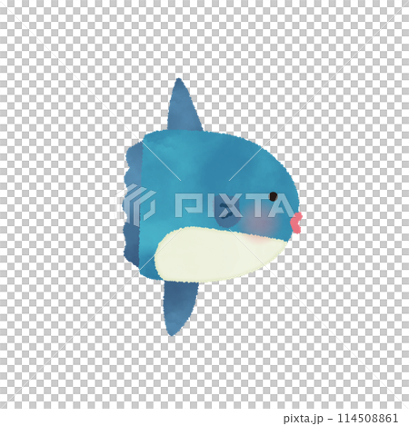Hand-drawn vector illustration of a sunfish 114508861