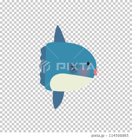 マンボウのベクターイラスト 114508865