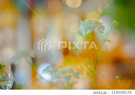 華 114509170