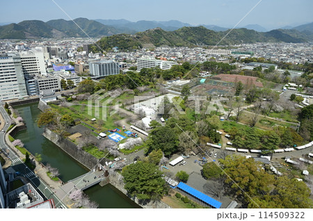 静岡県庁別館21階富士山展望ロビーの北側から見た駿府城公園 静岡県庁別館21階富士山展望ロビーの北側から見た駿府城公園 114509322