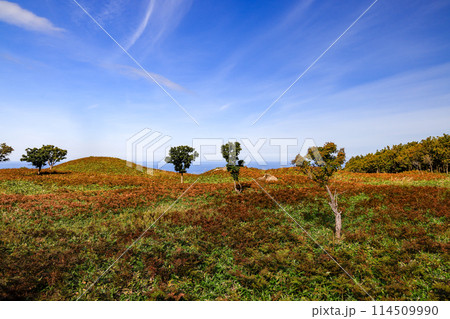 紅葉した知床の山と青空 114509990