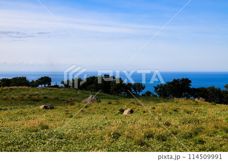 知床の丘から海を見下ろす 114509991