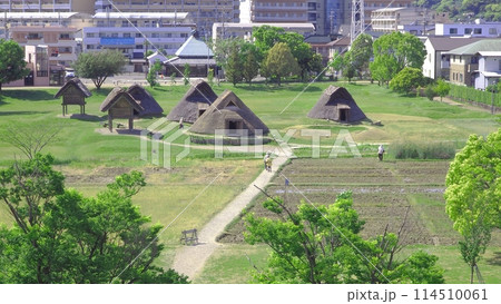 登呂遺跡 登呂遺跡 114510061
