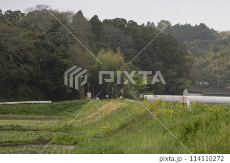 日本の田舎の風景、ローカル路線の森の中へ進む線路と踏み切り 114510272